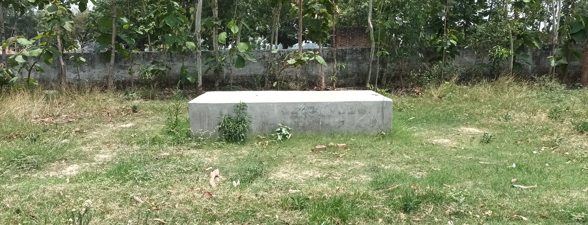 slide-4